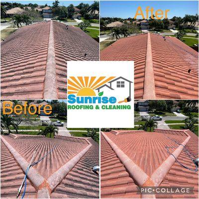 Before and after roof cleaning no pressure