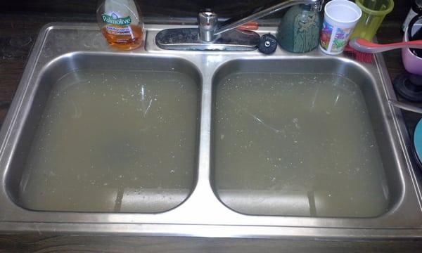 Sewage in kitchen sink!