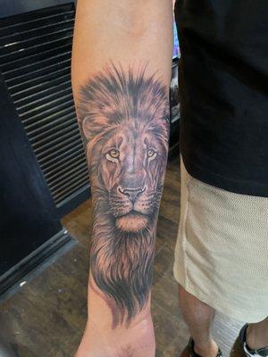 Lion