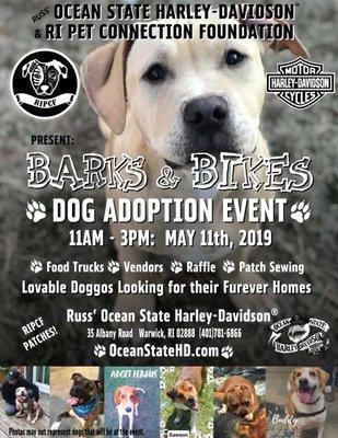 Barks and Bikes dog adoption event.  Saturday starting at 11!