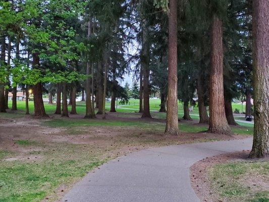 The path to the tennis courts from the parking lot was really pretty, with all of the tall trees surrounding it.