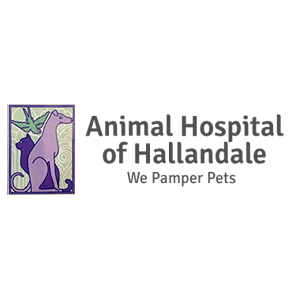 Animal Hospital of Hallandale