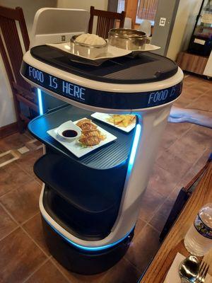 Robot server