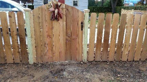 Cedar Fencing