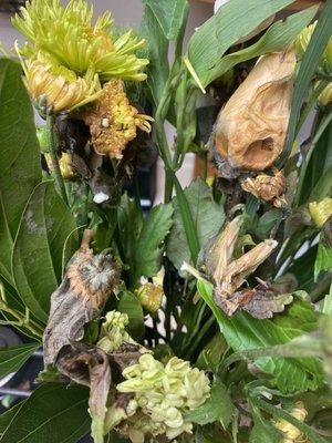 Mold on the flowers and leaves as soon as I put the flowers in the vase after receiving them from Edible Arrangements-Murray Location