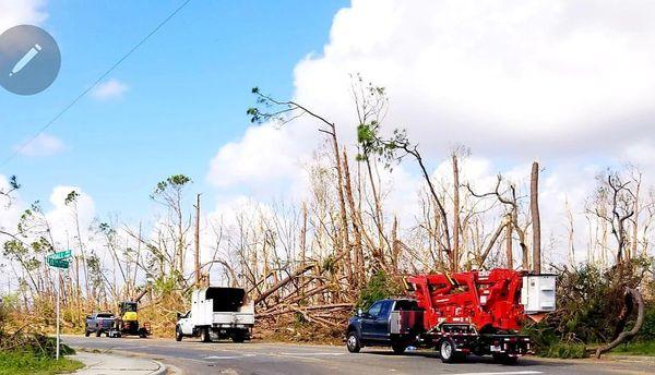 Clearcut Tree Service, Inc.