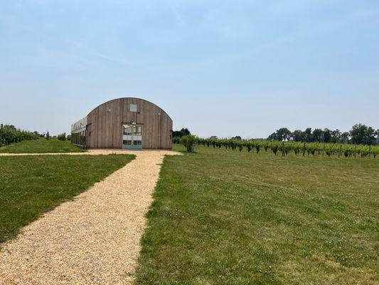 Vineyards to the left and vineyards to the right