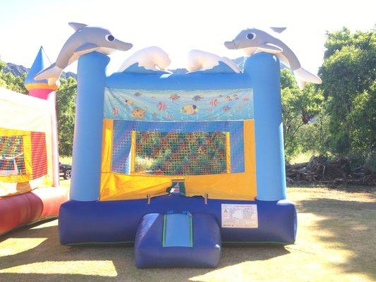 13x13 Dolphin Bounce Castle