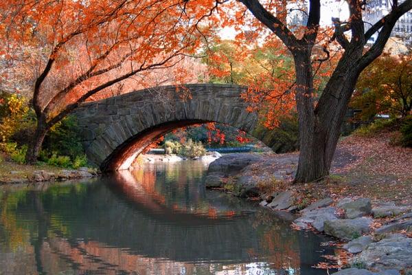 A Bridge in Central Park (Gapstow)