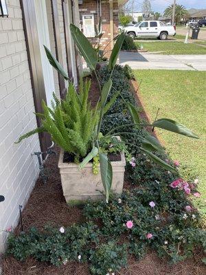 New garden design included two beautiful container gardens