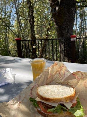 Turkey sandwich on sourdough and a Strata IPA