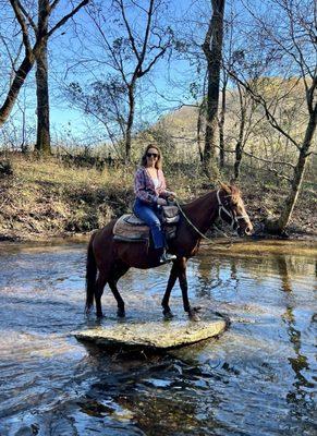 Natchez Trace Stables