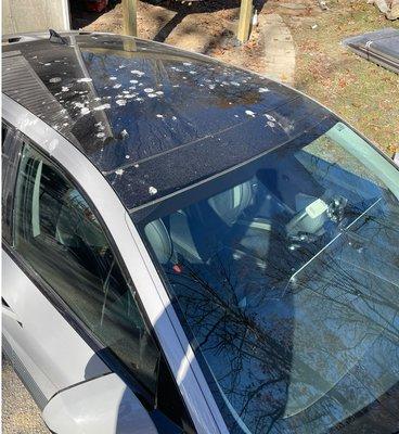 Parked car covered with bird shit