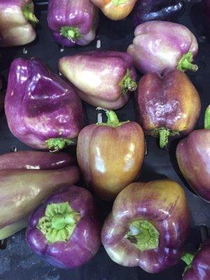 Purple Peppers