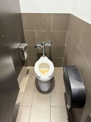 DISGUSTING toilets