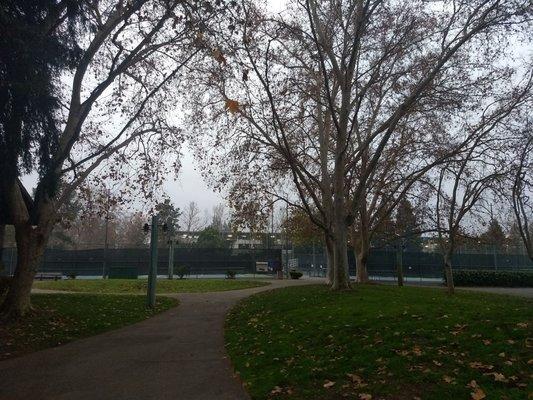 park pathways are dry, but courts wet