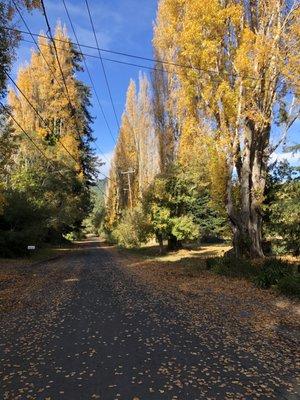 Running in Sonoma, CA