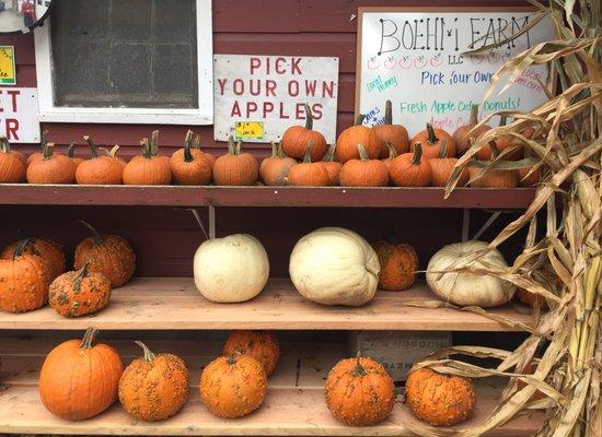 Pick your own apples, or choose a pumpkin off the shelf