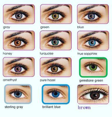 Contacts