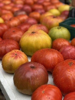 Tomatoes grown in real Dirt