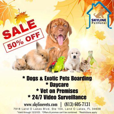 #skylinepethotel 50% OFF ‍ #boarding and #daycare