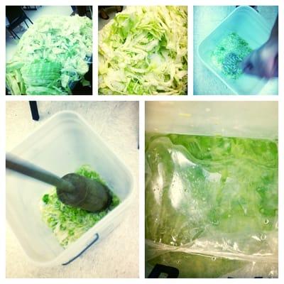 Lacto-Fermentation Class; Making Sauerkraut