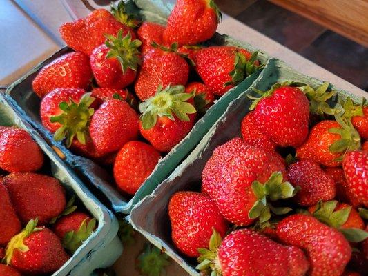 Harmon's always has the best strawberries!! Fresh, juicy and never a bad one in the bunch!!  Highly recommend!