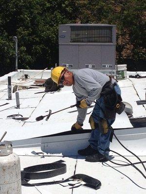 new APP torch down modified bitumen (cool roof) roof on school in Panorama City.