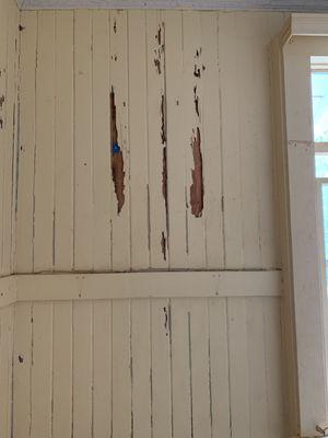 1 - original termite damage