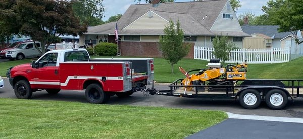 Daily Grind Stump Removal