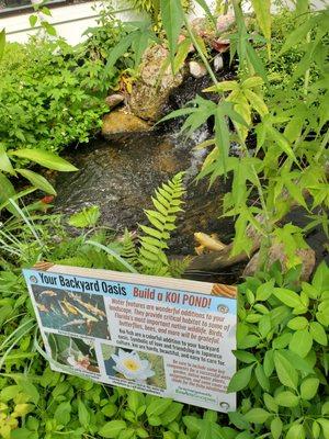 Another view of the Koi Pond