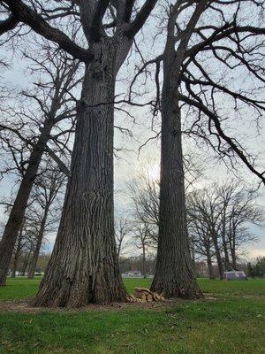 Indian Lake State Park