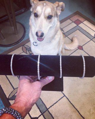 Dogs love diamonds too.