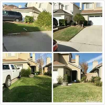 Front yard clean-up. Edging grass, tree removal, weed abatement in planters and underneath bushes.