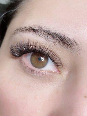 Volume Lash