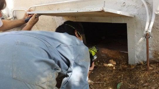 Inspecting the crawl space