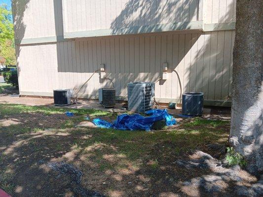 Uh-oh. Looks like one of the leaky rooftops lost it's tarp!