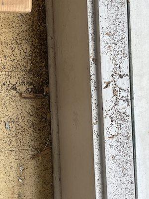 Termite droppings  Less than 6 year after fumigation