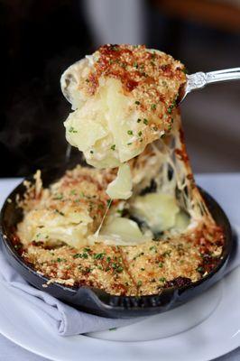 Bubbling Potato Gratin