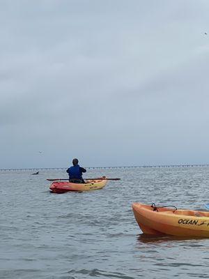 Guides were always on the sea life lookout!