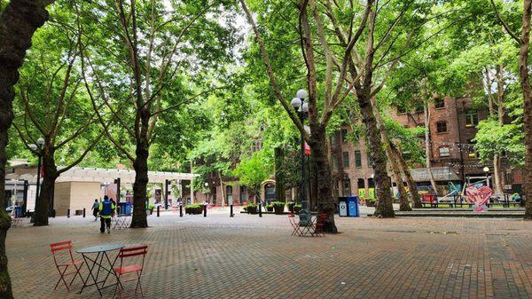 Vast public open space on Sunday afternoon (6/11/23)