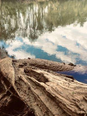 By the Chattahooche River