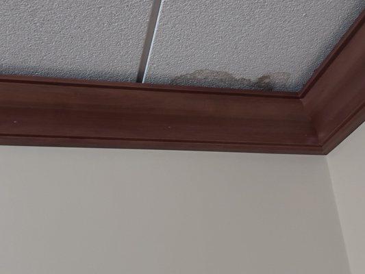 Mildew in ceiling