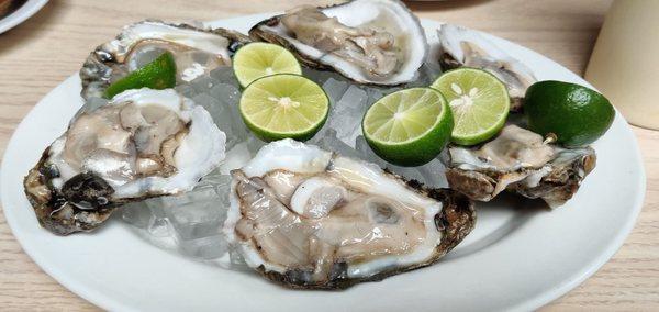 1/2 a dozen oysters. They tasted just as they look. Really fresh. No (after)taste of any kind. Awesome!