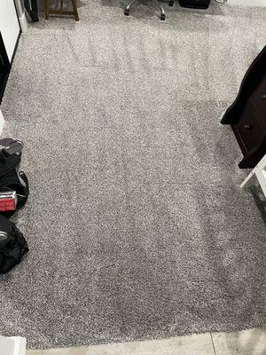 Cleaned carpet after dog diarrhea