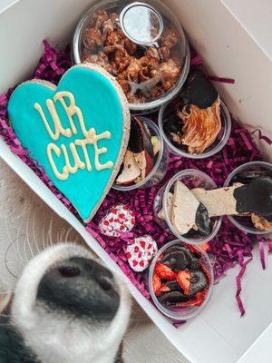 Valentine box featuring "chocolate" covered treats made with carob!