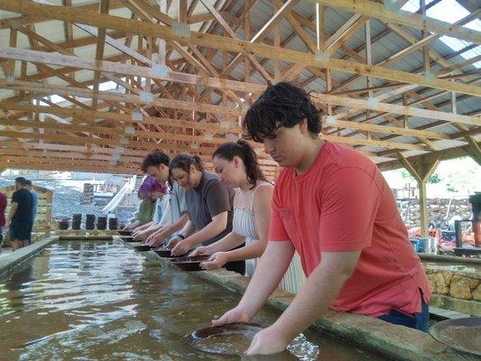 Panning for gold