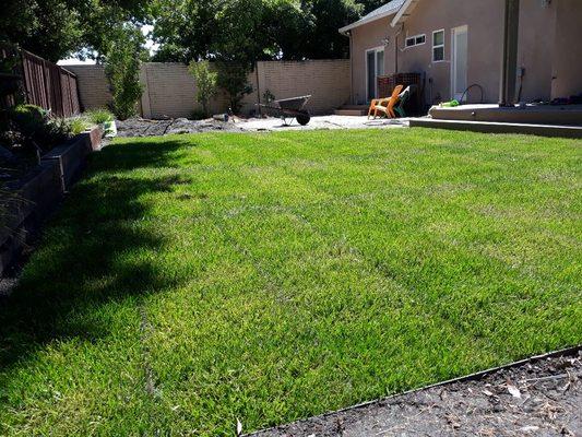 Finished photo after laying sod