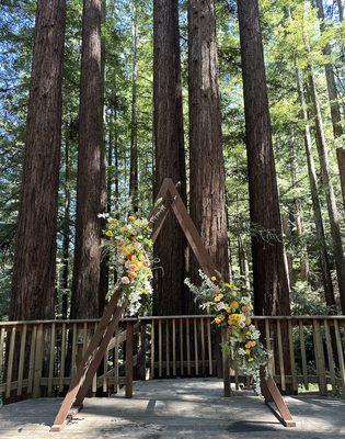 Ceremony space, they even offer two arch options!