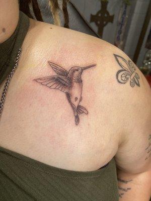 Block and white hummingbird  Left chest/shoulder